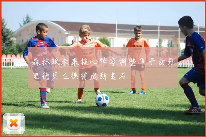 森林狼未来核心阵容调整华子麦丹里德贝兰热将成新基石